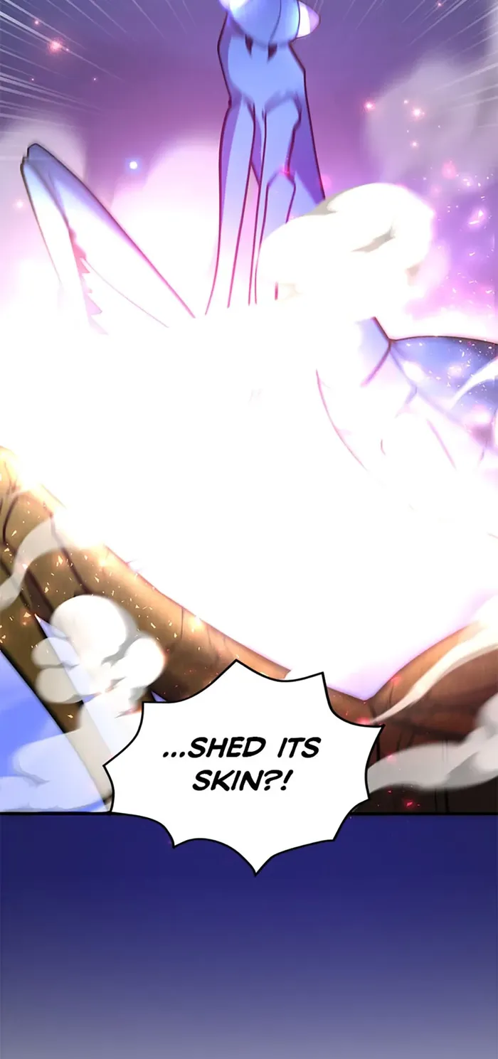 Read I Got Lucky And Pulled A 10th Rank Summon EN Manga Online