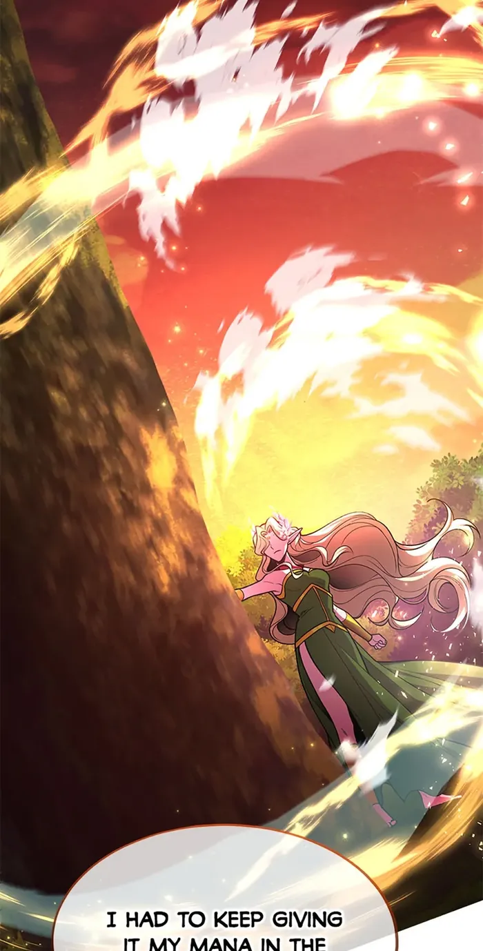 Read I Got Lucky And Pulled A 10th Rank Summon EN Manga Online
