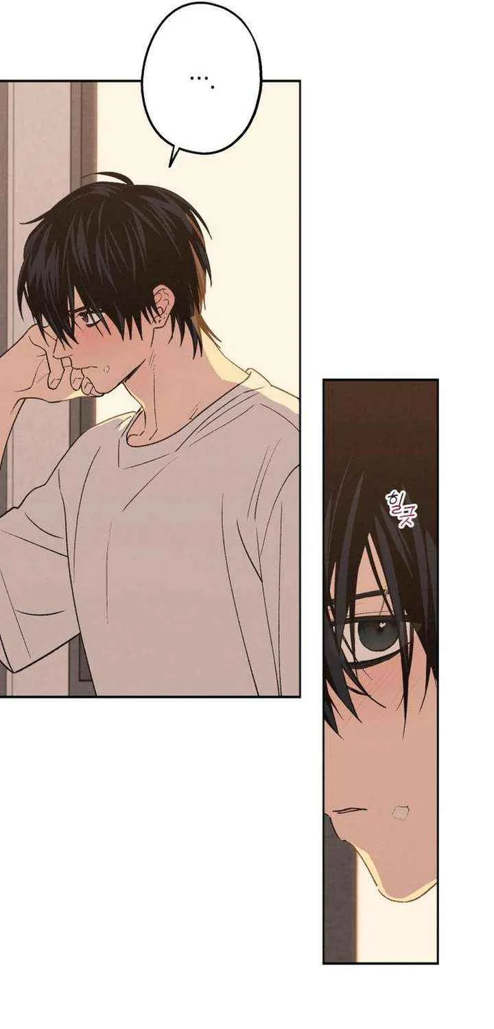 Read In Between EN Manga Online