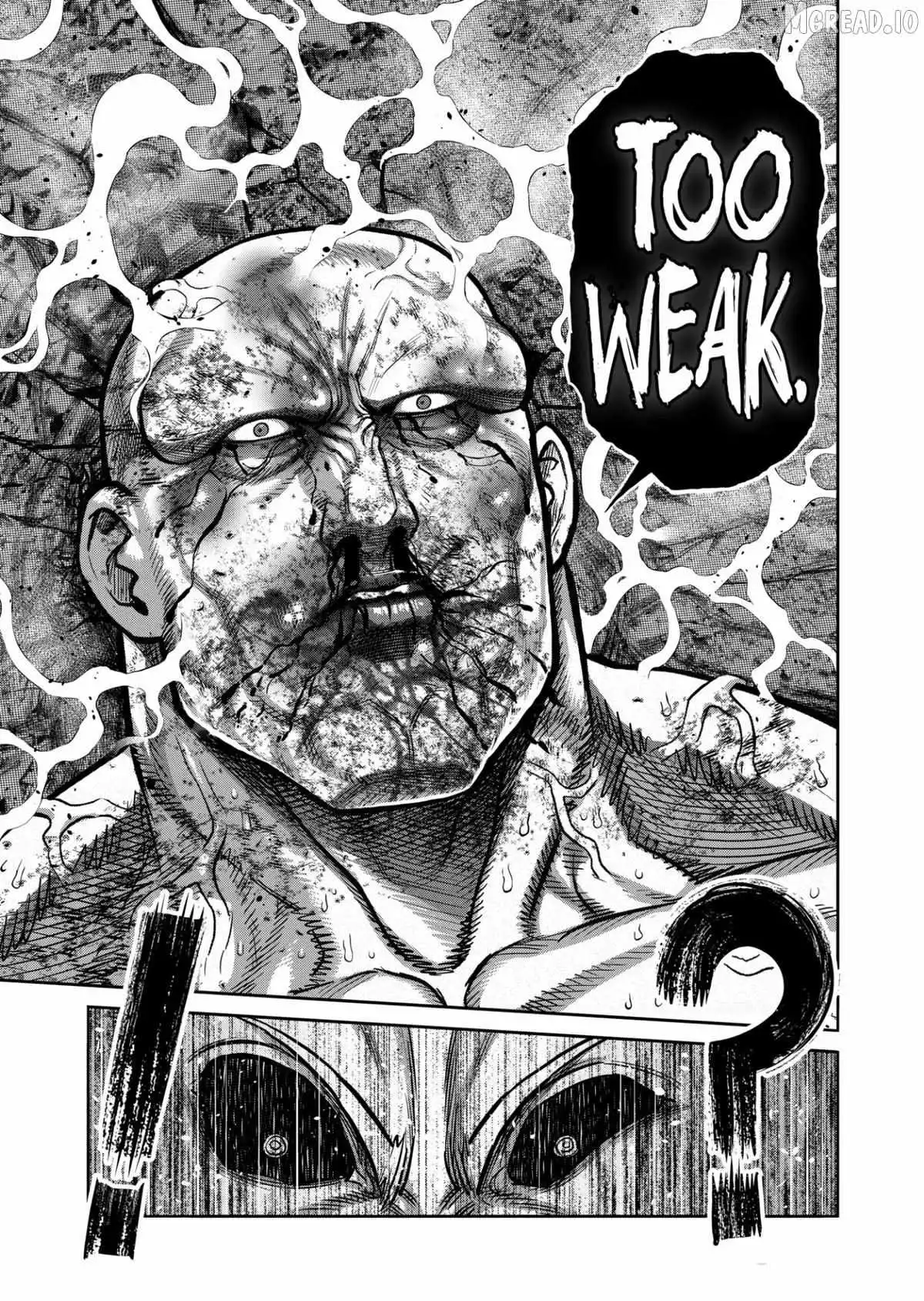 Read Kengan Omega EN Manga Online