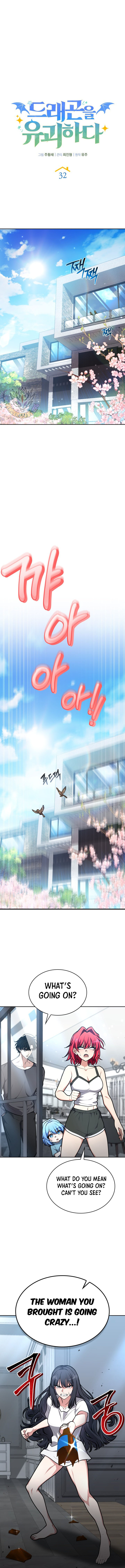 Read Kidnapped Dragons EN Manga Online