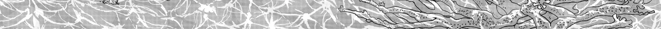 Read Land of the Lustrous EN Manga Online