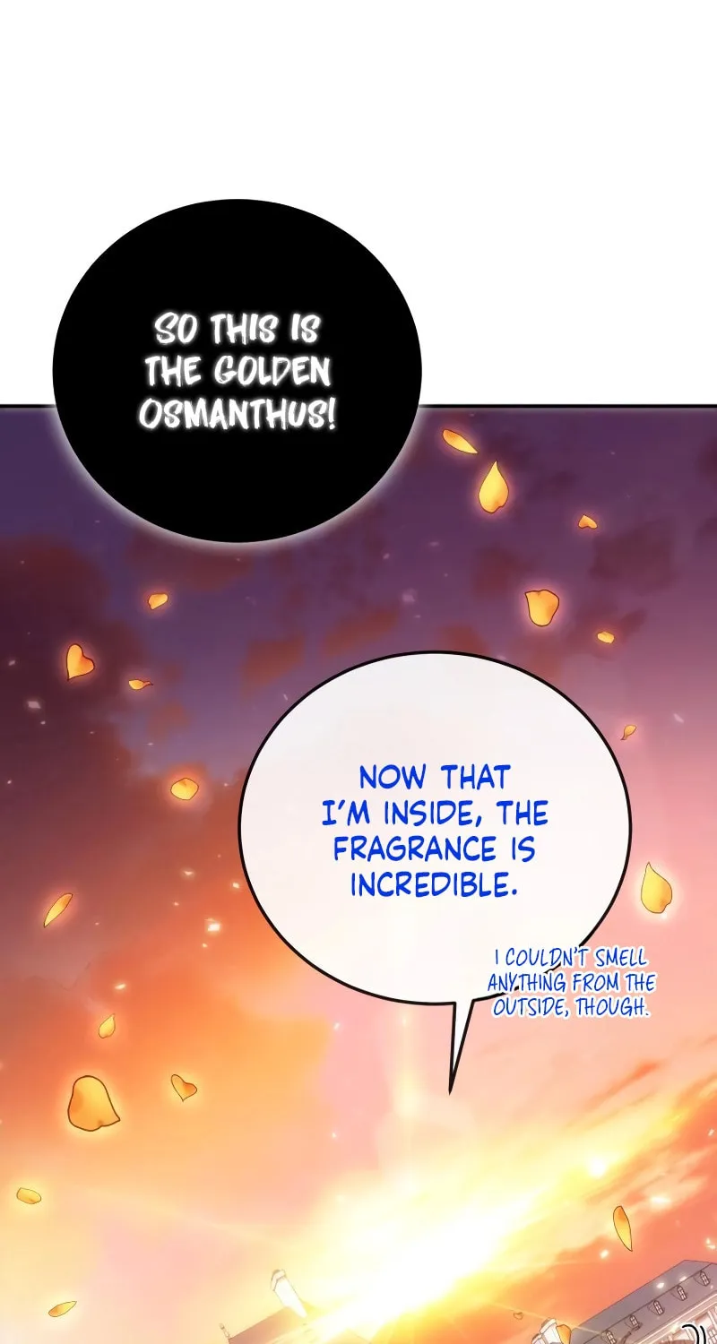 Read Life of a Quack Healer EN Manga Online