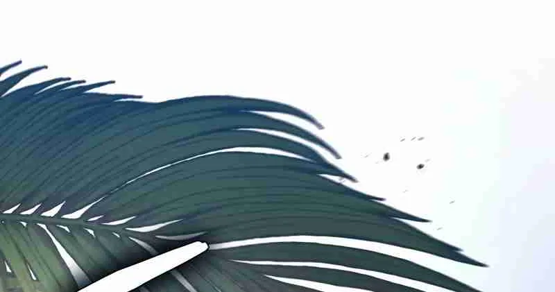 Read Life of a Quack Healer EN Manga Online