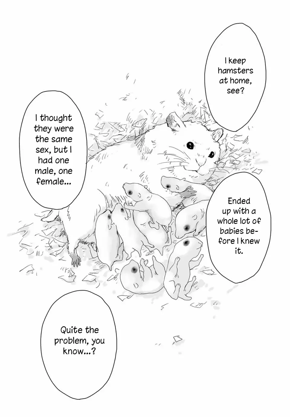Read Mii Chan And Yamada San EN Manga Online