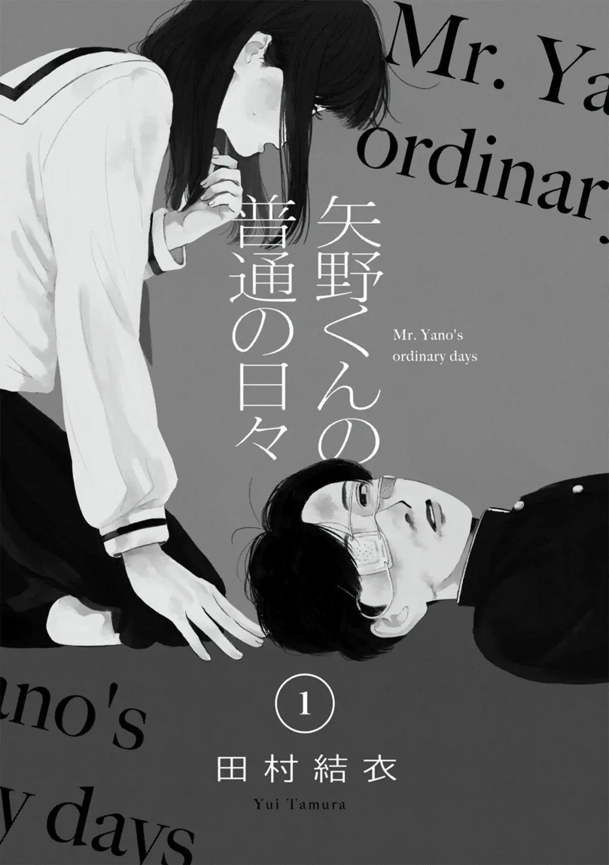 Read Mr Yano's Ordinary Days EN Manga Online