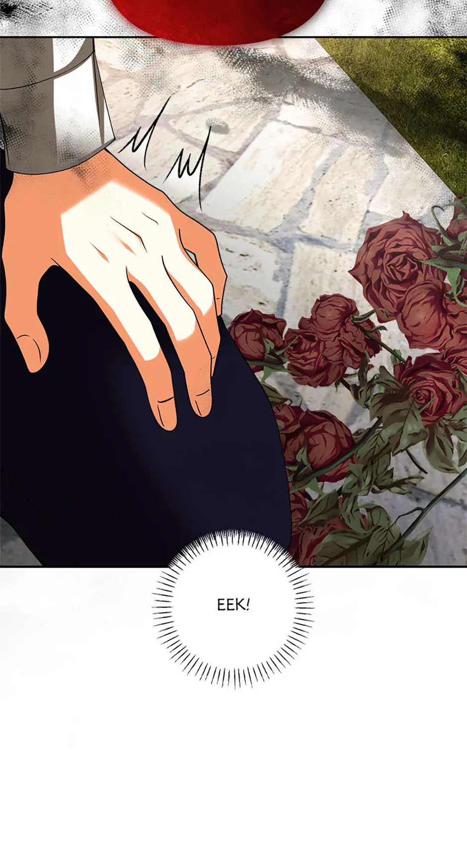 Read My Condition Is Divorce EN Manga Online