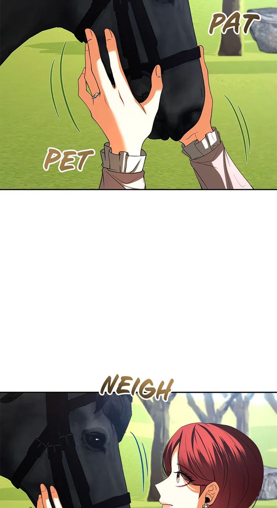 Read My Condition Is Divorce EN Manga Online