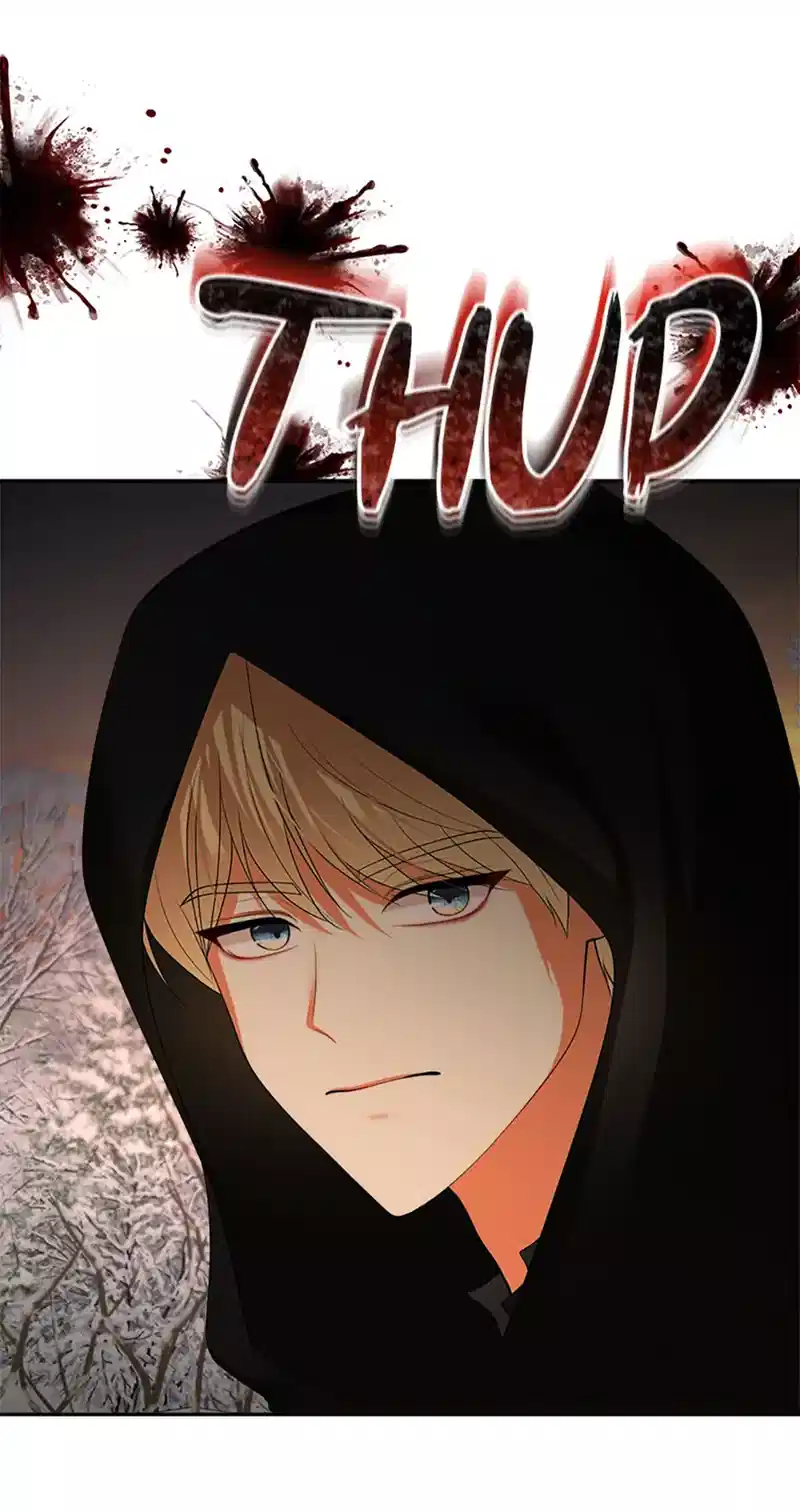 Read My Condition Is Divorce EN Manga Online