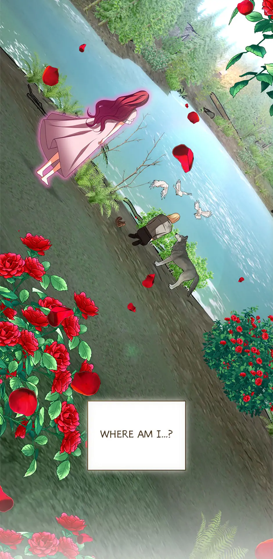 Read My Condition Is Divorce EN Manga Online