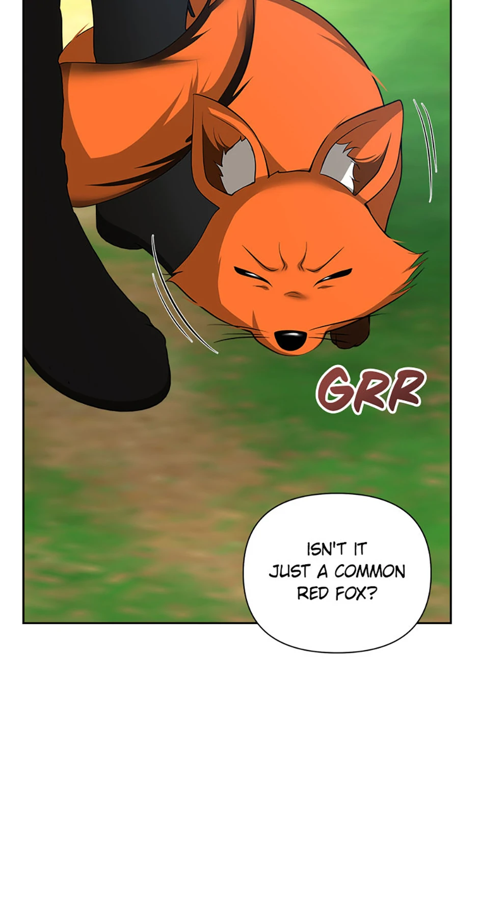 Read My Condition Is Divorce EN Manga Online