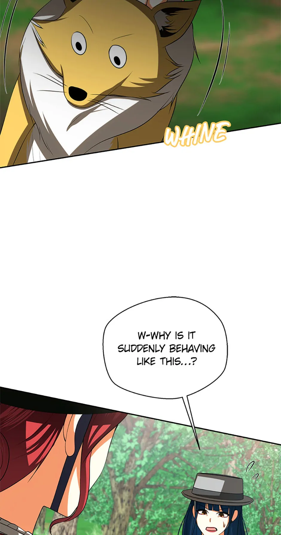 Read My Condition Is Divorce EN Manga Online