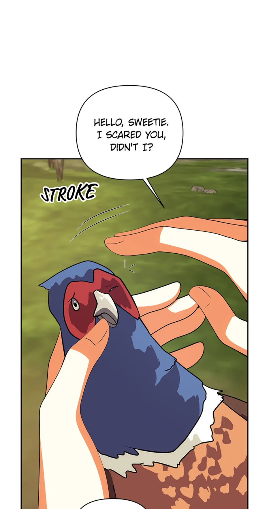 Read My Condition Is Divorce EN Manga Online