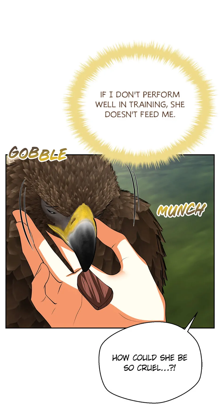 Read My Condition Is Divorce EN Manga Online