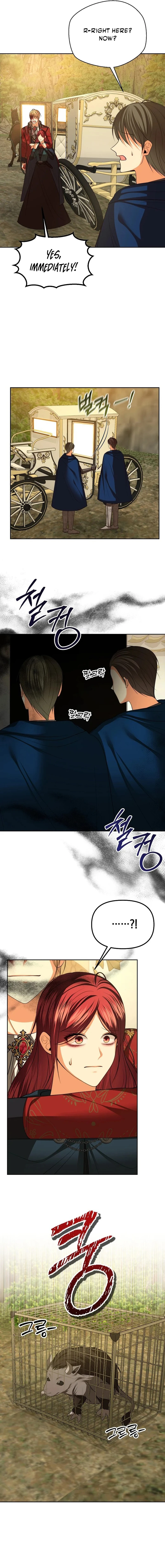 Read My Condition Is Divorce EN Manga Online