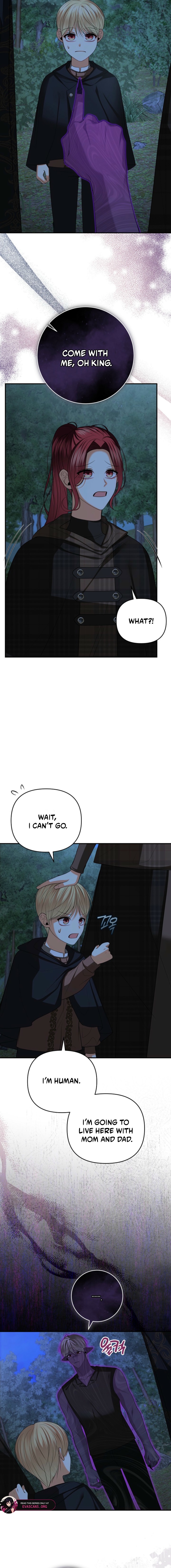 Read My Condition Is Divorce EN Manga Online