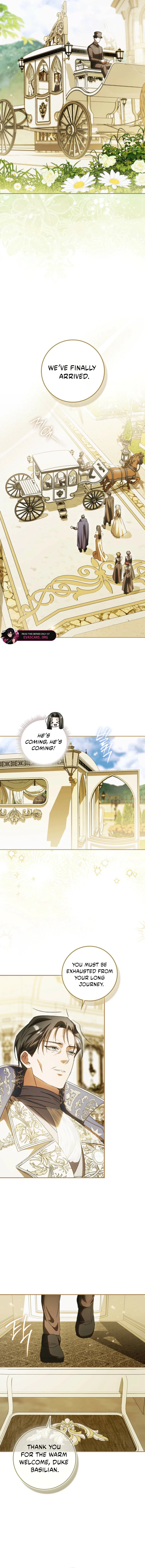 Read My Husband Is My Ultimate Bias But I Think I’m Going to Be Divorced EN Manga Online