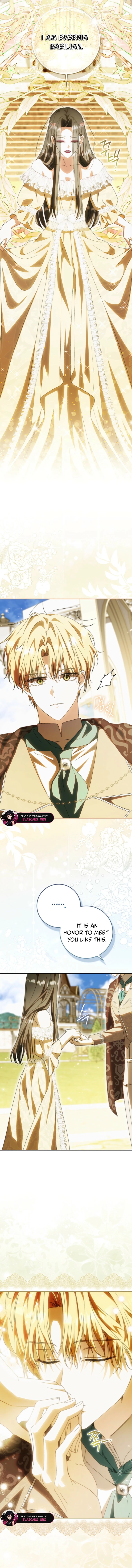Read My Husband Is My Ultimate Bias But I Think I’m Going to Be Divorced EN Manga Online