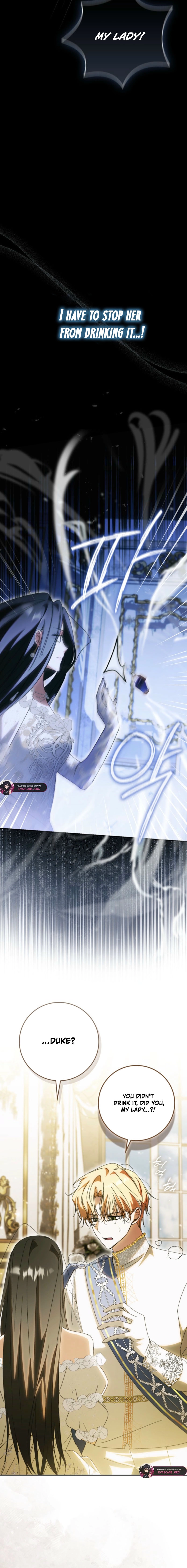 Read My Husband Is My Ultimate Bias But I Think I’m Going to Be Divorced EN Manga Online