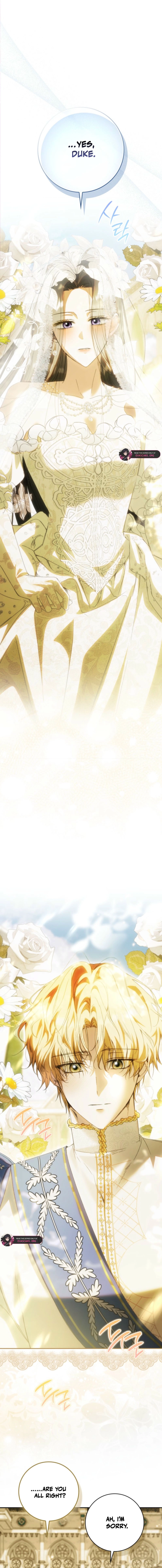 Read My Husband Is My Ultimate Bias But I Think I’m Going to Be Divorced EN Manga Online
