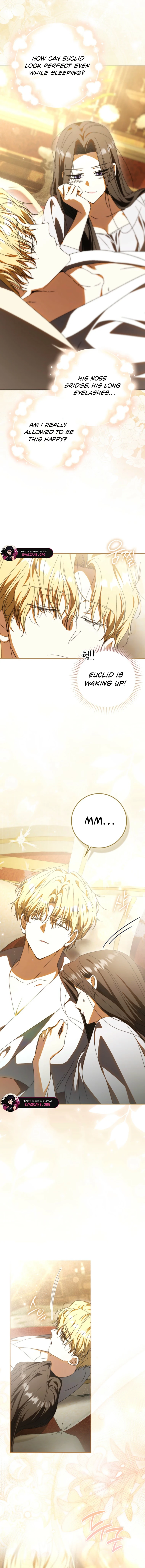 Read My Husband Is My Ultimate Bias But I Think I’m Going to Be Divorced EN Manga Online