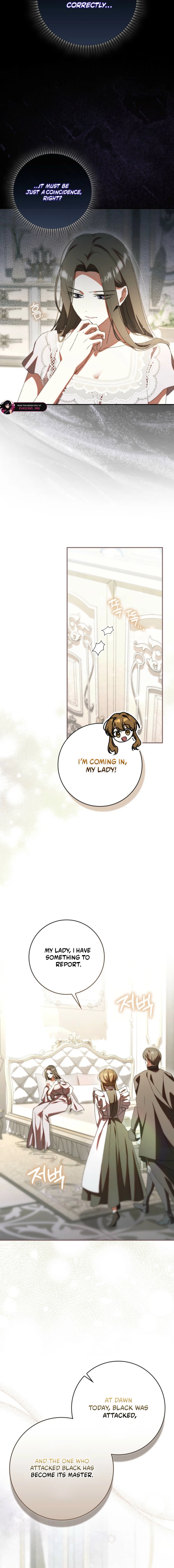 Read My Husband Is My Ultimate Bias But I Think I’m Going to Be Divorced EN Manga Online