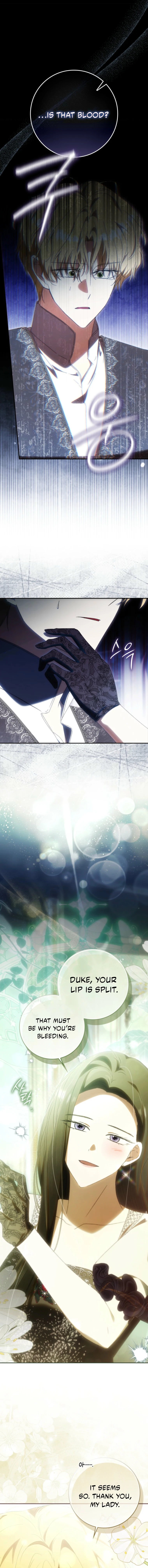 Read My Husband Is My Ultimate Bias But I Think I’m Going to Be Divorced EN Manga Online