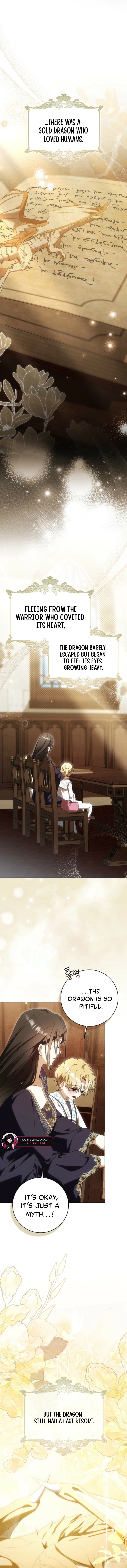 Read My Husband Is My Ultimate Bias But I Think I’m Going to Be Divorced EN Manga Online