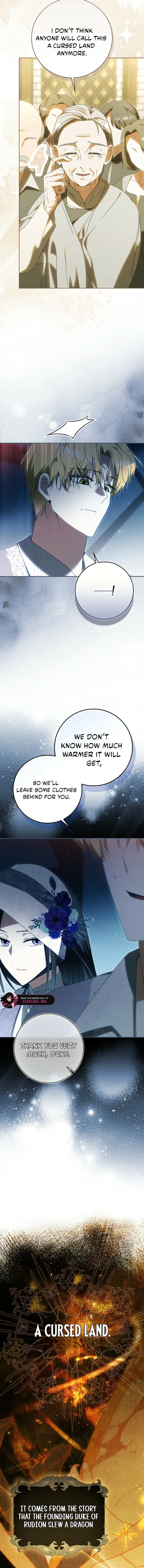 Read My Husband Is My Ultimate Bias But I Think I’m Going to Be Divorced EN Manga Online