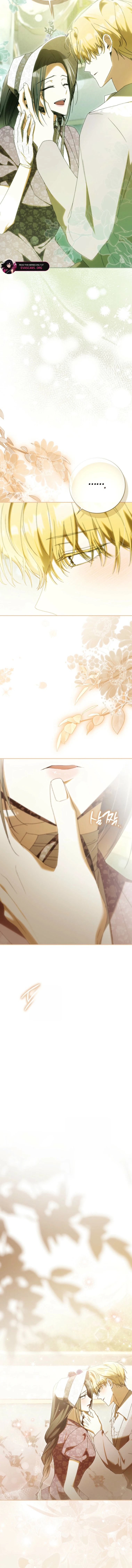 Read My Husband Is My Ultimate Bias But I Think I’m Going to Be Divorced EN Manga Online