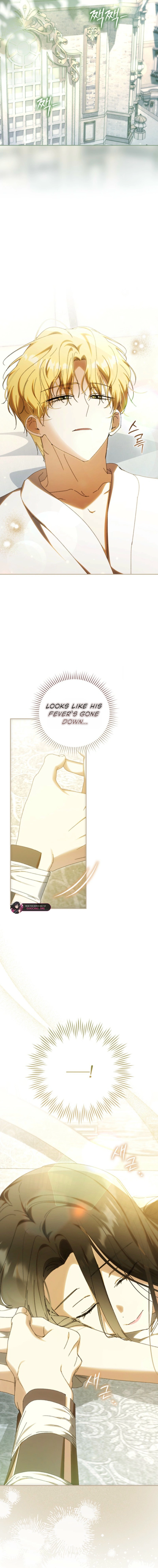 Read My Husband Is My Ultimate Bias But I Think I’m Going to Be Divorced EN Manga Online