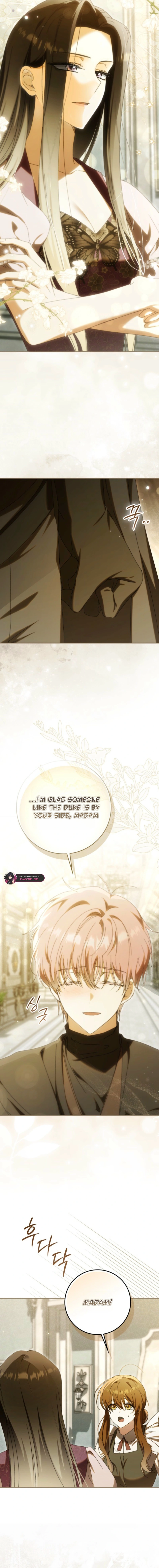 Read My Husband Is My Ultimate Bias But I Think I’m Going to Be Divorced EN Manga Online