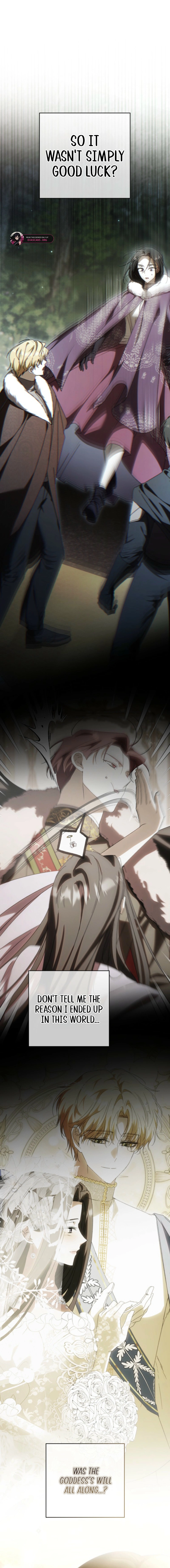 Read My Husband Is My Ultimate Bias But I Think I’m Going to Be Divorced EN Manga Online
