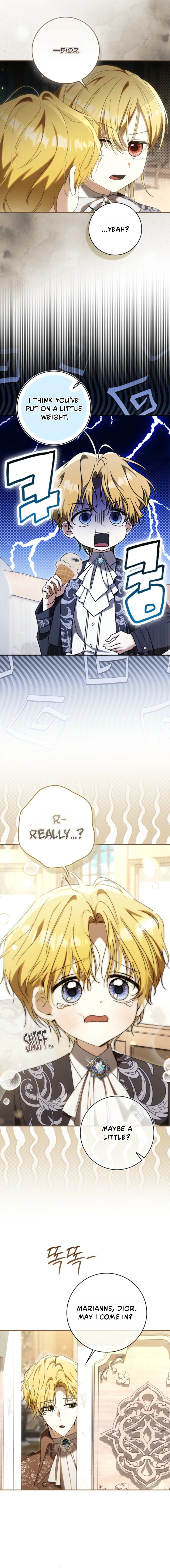 Read My Husband Is My Ultimate Bias But I Think I’m Going to Be Divorced EN Manga Online