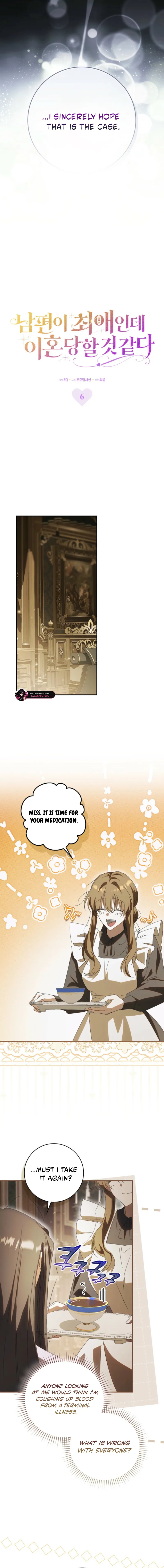 Read My Husband Is My Ultimate Bias But I Think I’m Going to Be Divorced EN Manga Online