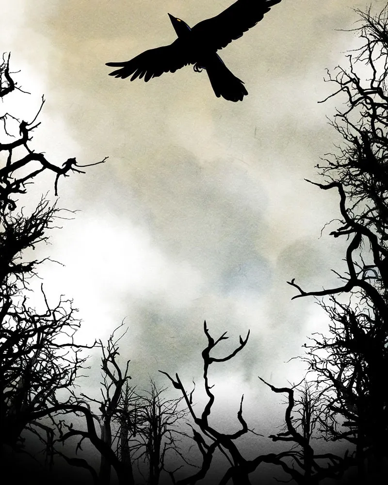 Read Nevermore EN Manga Online