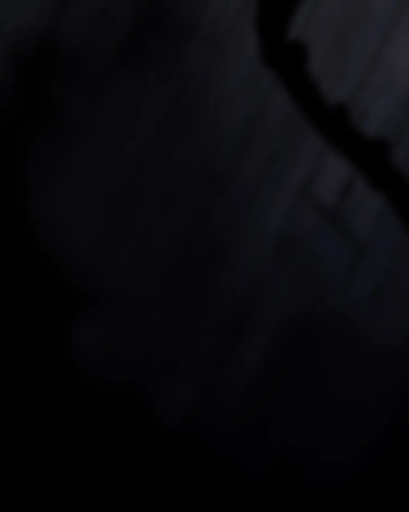Read Nevermore EN Manga Online