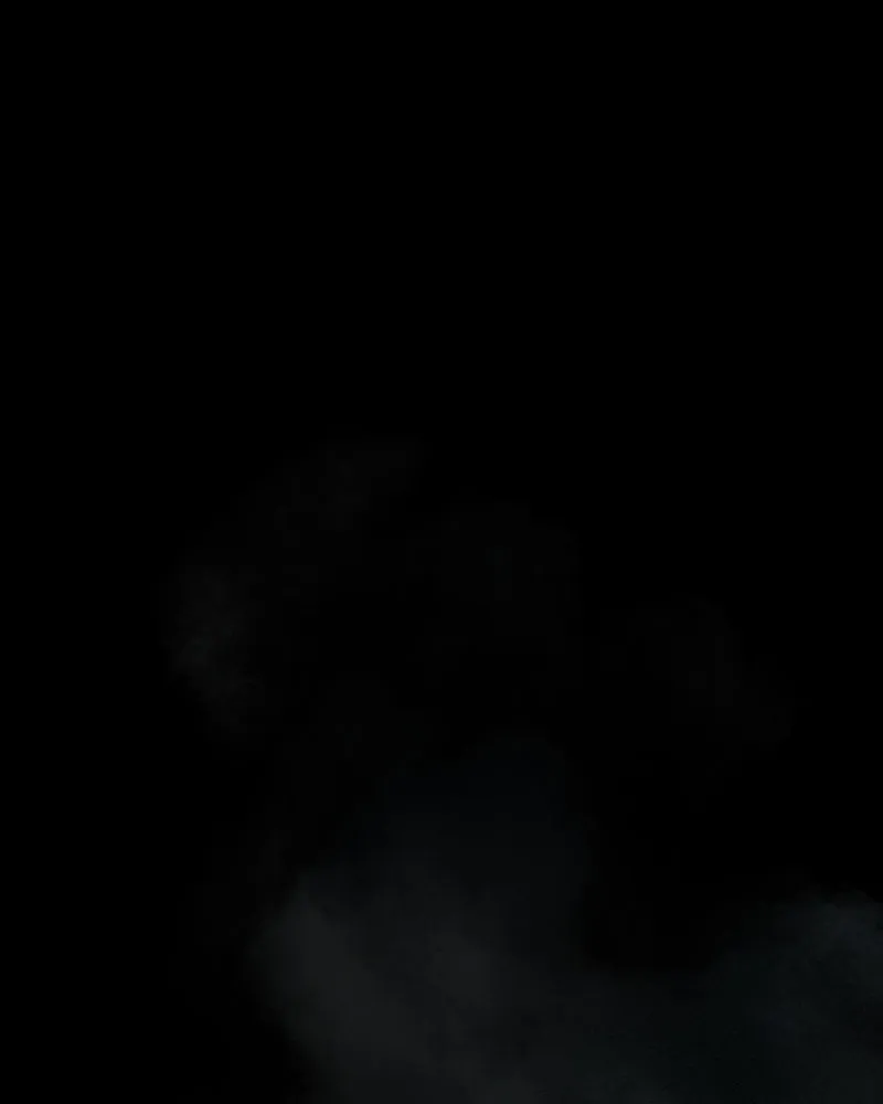 Read Nevermore EN Manga Online