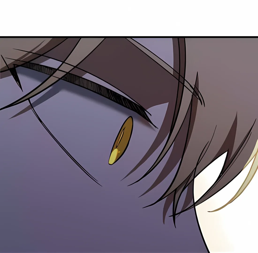 Read Night of Shadows EN Manga Online