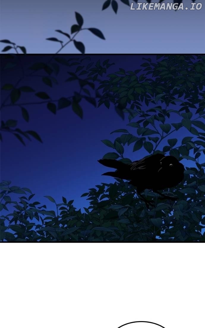 Read Night of Shadows EN Manga Online