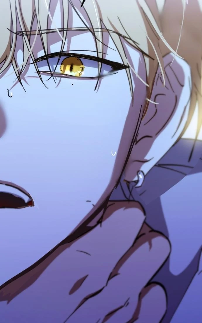 Read Night of Shadows EN Manga Online