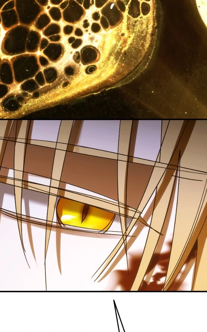 Read Night of Shadows EN Manga Online