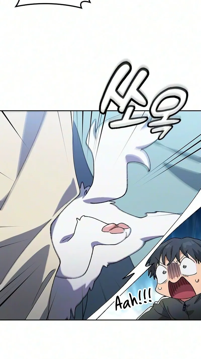 Read Peaceful Camping Life in Another World EN Manga Online