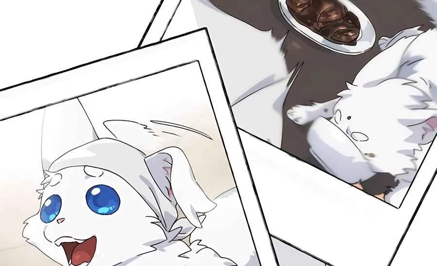Read Peaceful Camping Life in Another World EN Manga Online