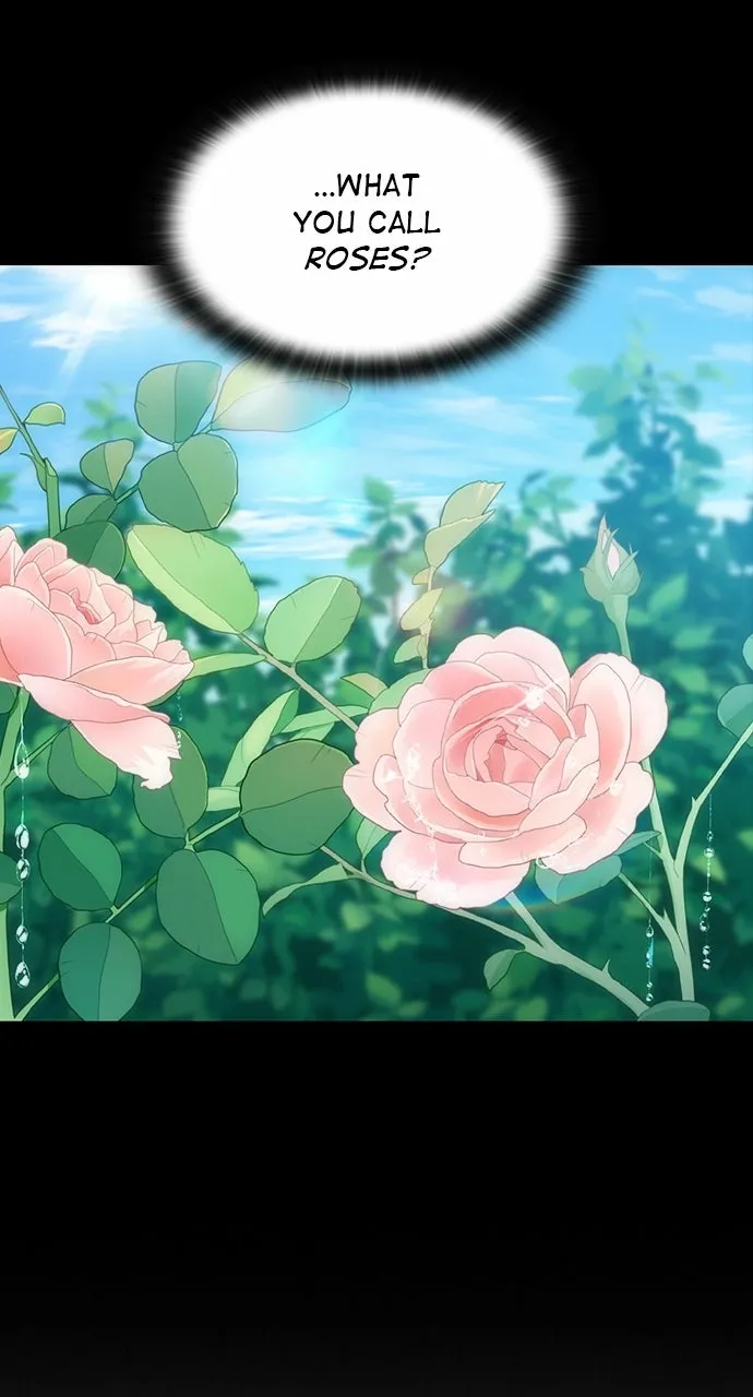 Read Peaceful Camping Life in Another World EN Manga Online