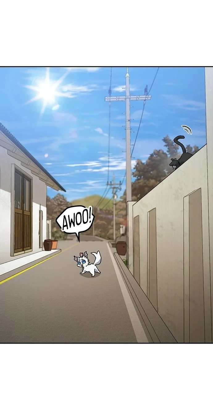 Read Peaceful Camping Life in Another World EN Manga Online