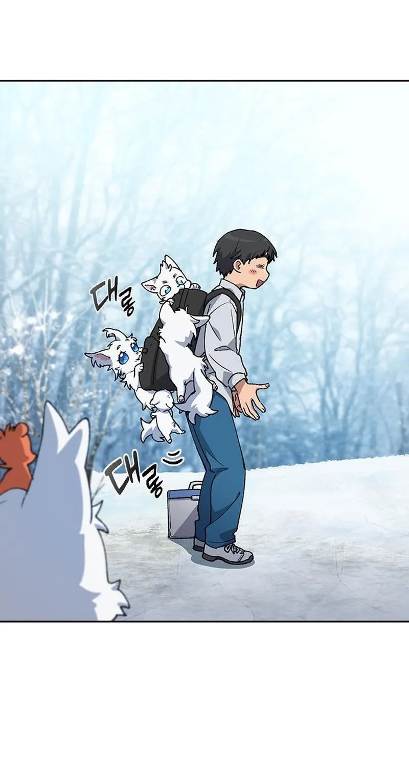 Read Peaceful Camping Life in Another World EN Manga Online