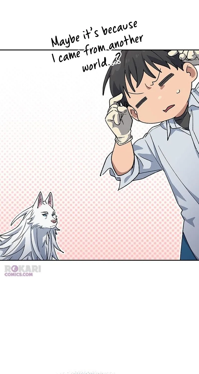 Read Peaceful Camping Life in Another World EN Manga Online