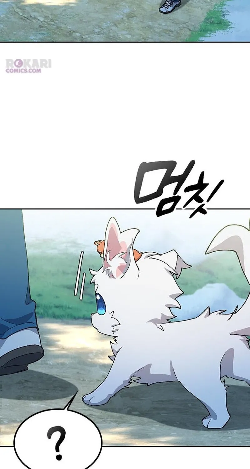 Read Peaceful Camping Life in Another World EN Manga Online