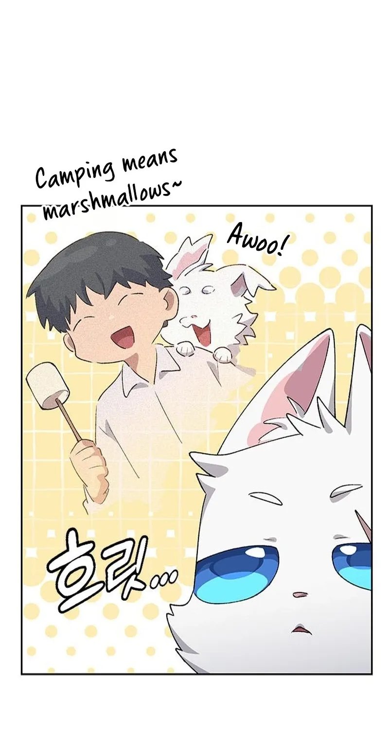 Read Peaceful Camping Life in Another World EN Manga Online